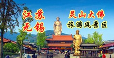 鸡鸡插入嫩逼视频江苏无锡灵山大佛旅游风景区