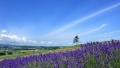 阴茎插入阴户视频日本一地6日游  境外旅游 6880元/人