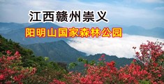 靠逼免费观看网站